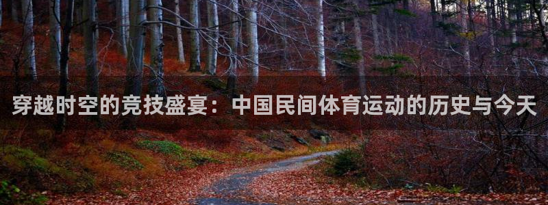 一竞技官网下载招商电话号码是多少:穿越时空的竞技盛宴:中国民